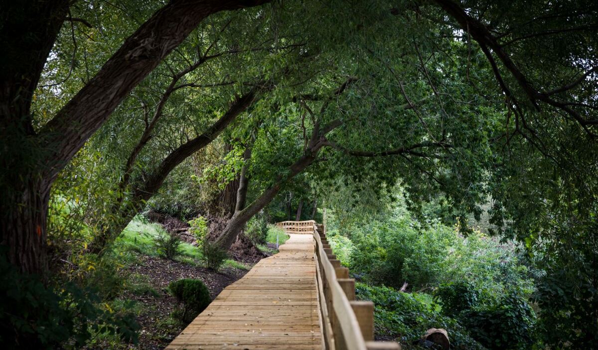 Sentier de la Rivière-de-la-Tortue